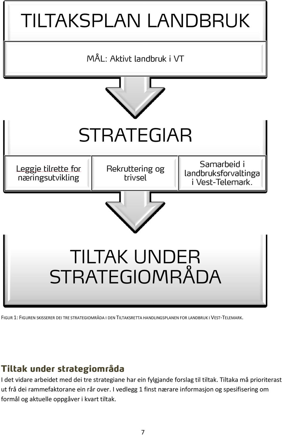 TILTAK UNDER STRATEGIOMRÅDA FIGUR 1: FIGUREN SKISSERER DEI TRE STRATEGIOMRÅDA I DEN TILTAKSRETTA HANDLINGSPLANEN FOR LANDBRUK I VEST- TELEMARK.