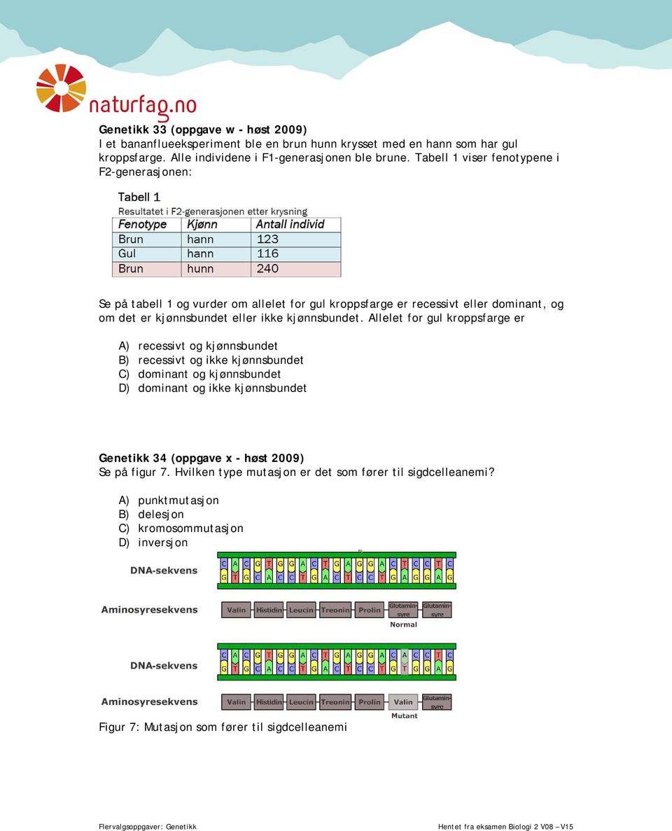 Allelet for gul kroppsfarge er A) recessivt og kjønnsbundet B) recessivt og ikke kjønnsbundet C) dominant og kjønnsbundet D) dominant og ikke kjønnsbundet Genetikk 34 (oppgave x -