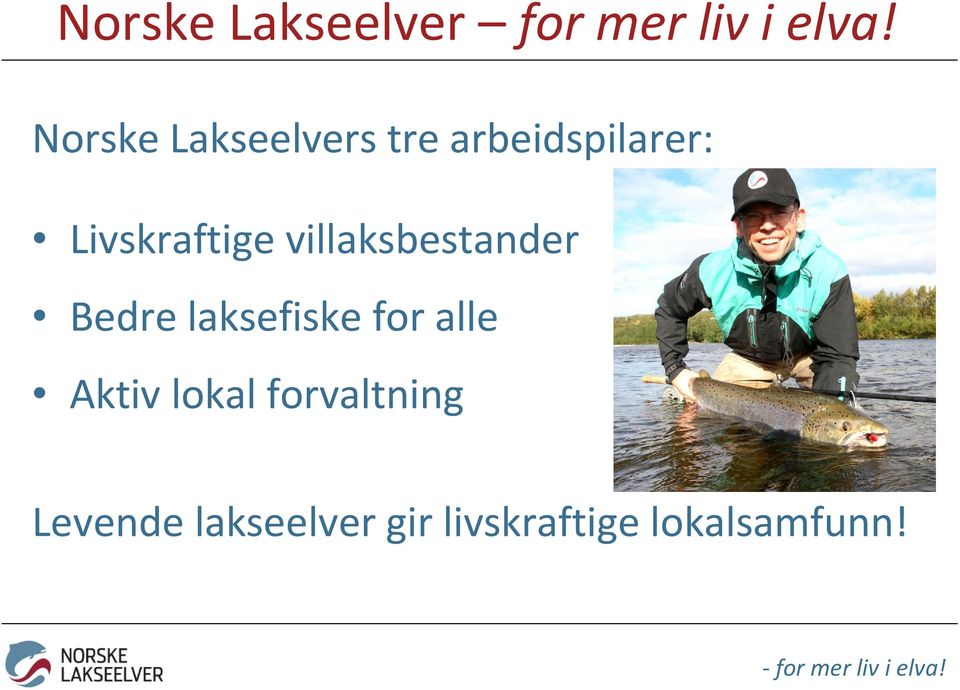 villaksbestander Bedre laksefiske for alle Aktiv