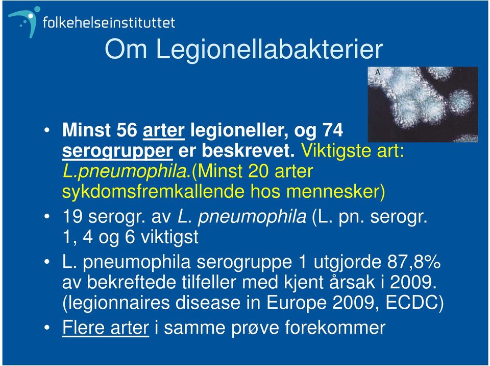 pneumophila serogruppe 1 utgjorde 87,8% av bekreftede tilfeller med kjent årsak i 2009.