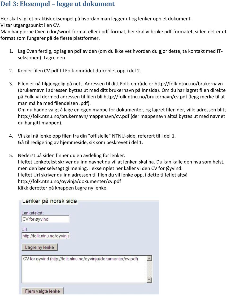 Lag Cven ferdig, og lag en pdf av den (om du ikke vet hvordan du gjør dette, ta kontakt med ITseksjonen). Lagre den. 2. Kopier filen CV.pdf til Folk-området du koblet opp i del 2. 3.