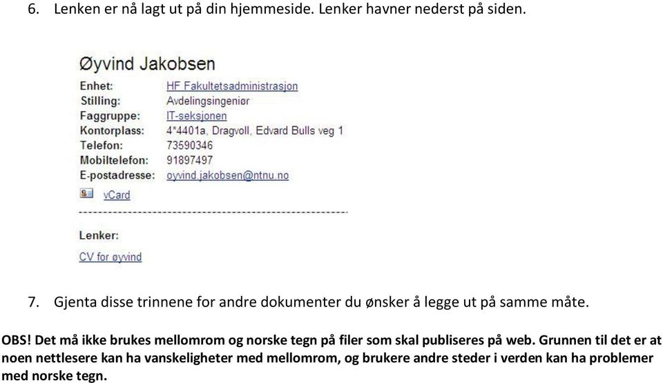 Det må ikke brukes mellomrom og norske tegn på filer som skal publiseres på web.