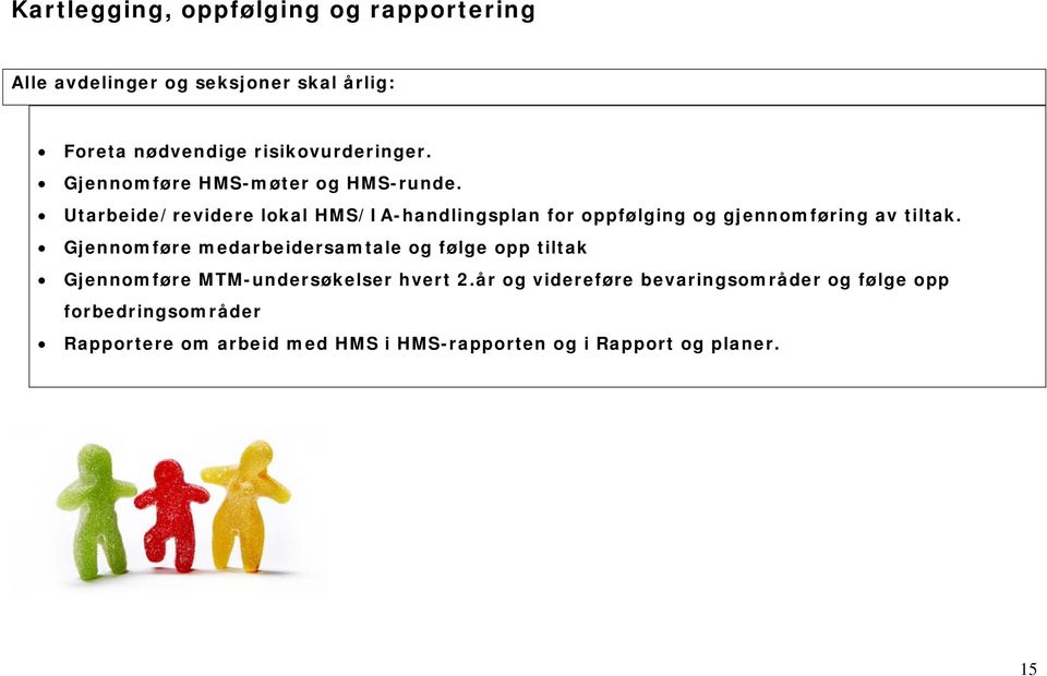 Utarbeide/revidere lokal HMS/IA-handlingsplan for oppfølging og gjennomføring av tiltak.