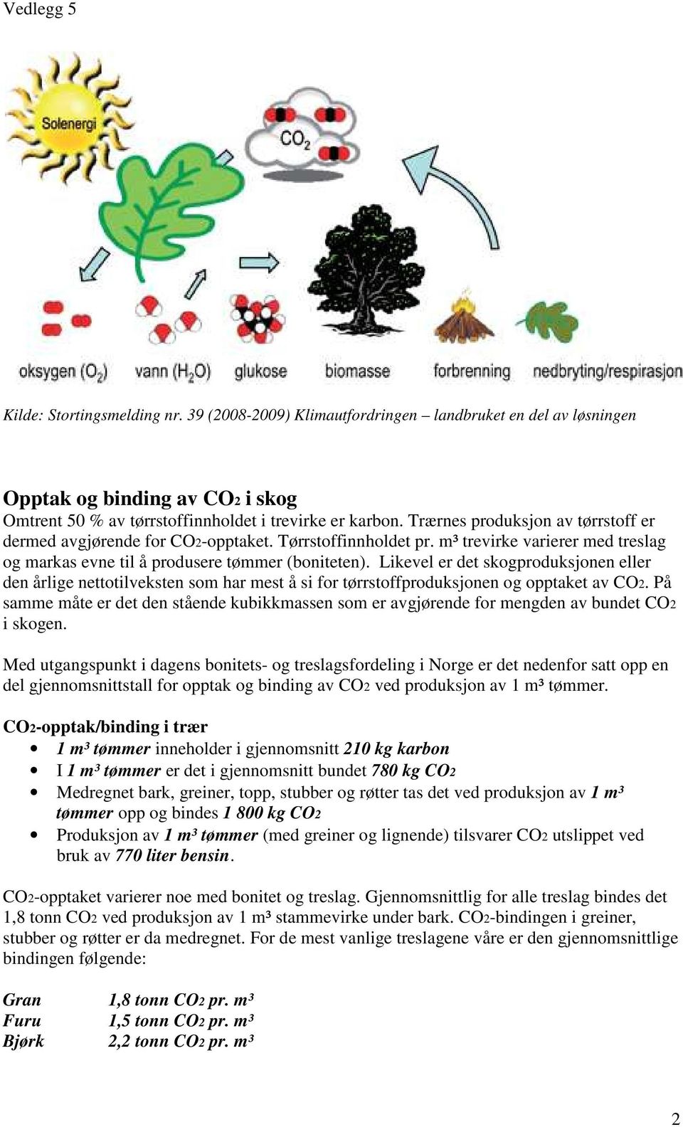 Likevel er det skogproduksjonen eller den årlige nettotilveksten som har mest å si for tørrstoffproduksjonen og opptaket av CO2.