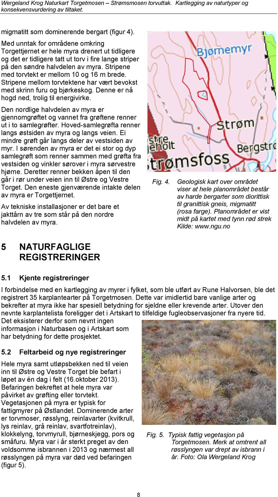 Stripene med torvtekt er mellom 10 og 16 m brede. Stripene mellom torvtektene har vært bevokst med skrinn furu og bjørkeskog. Denne er nå hogd ned, trolig til energivirke.