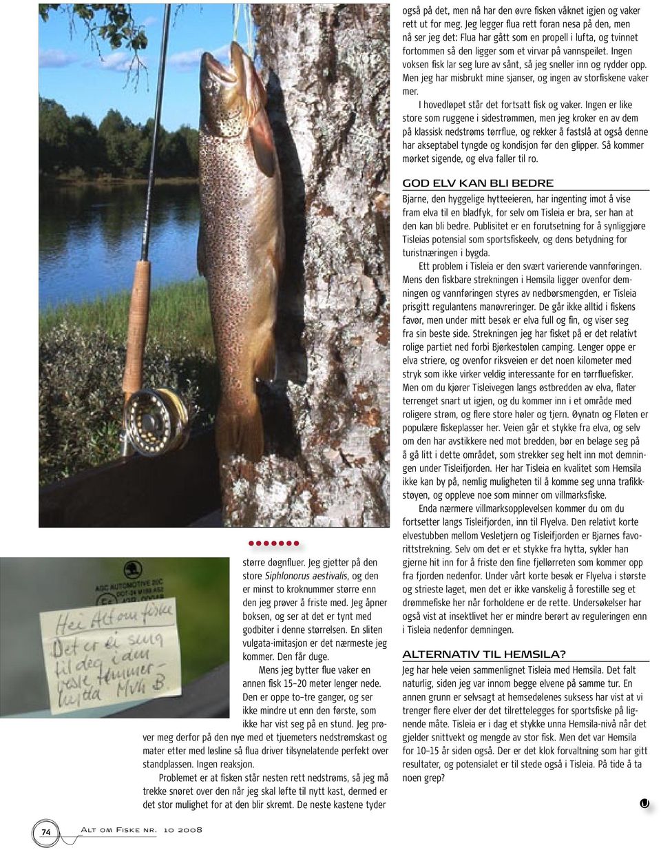 Ingen voksen fisk lar seg lure av sånt, så jeg sneller inn og rydder opp. Men jeg har misbrukt mine sjanser, og ingen av storfiskene vaker mer. I hovedløpet står det fortsatt fisk og vaker.