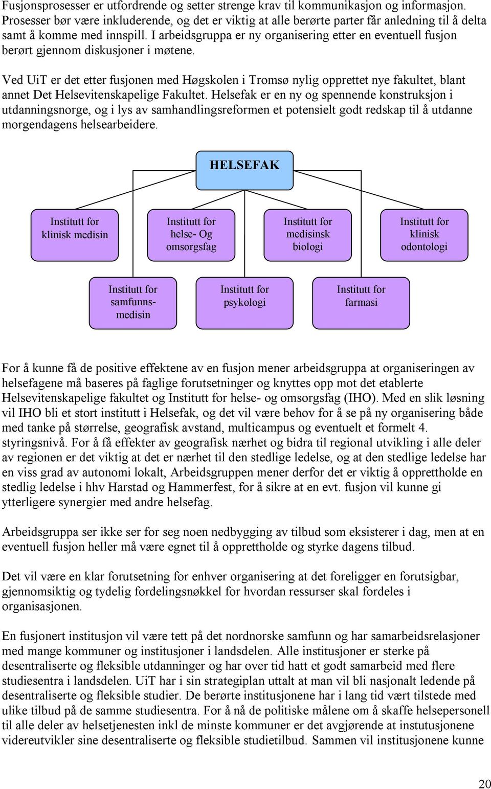 I arbeidsgruppa er ny organisering etter en eventuell fusjon berørt gjennom diskusjoner i møtene.