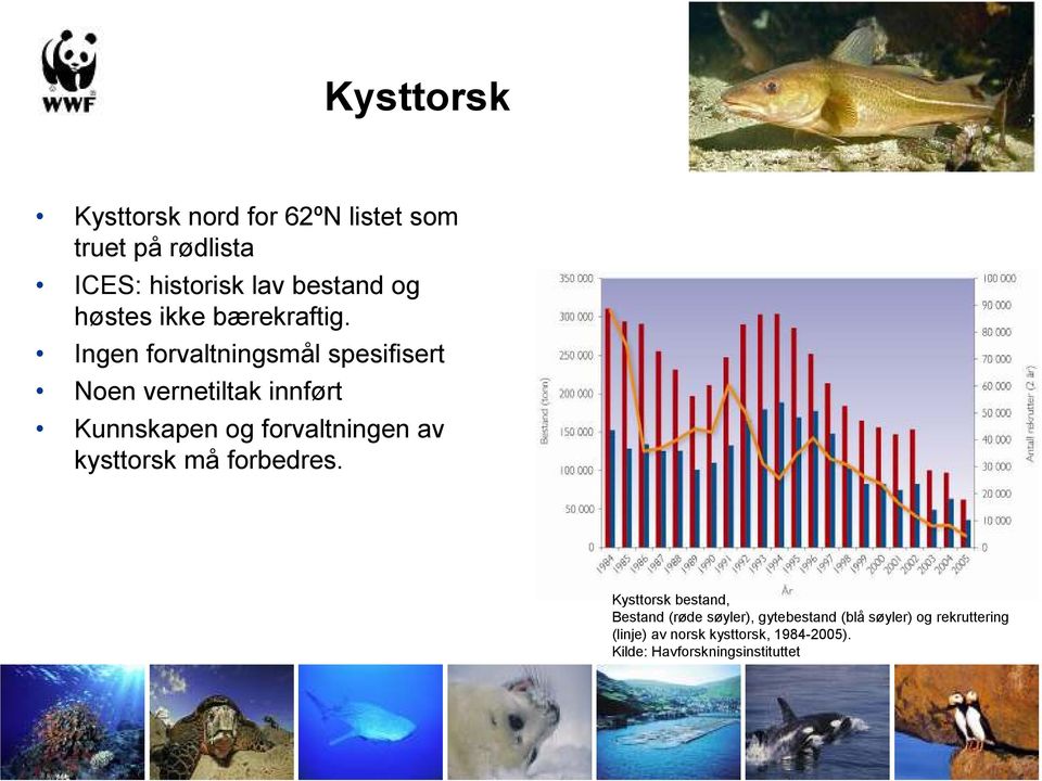 Ingen forvaltningsmål spesifisert Noen vernetiltak innført Kunnskapen og forvaltningen av