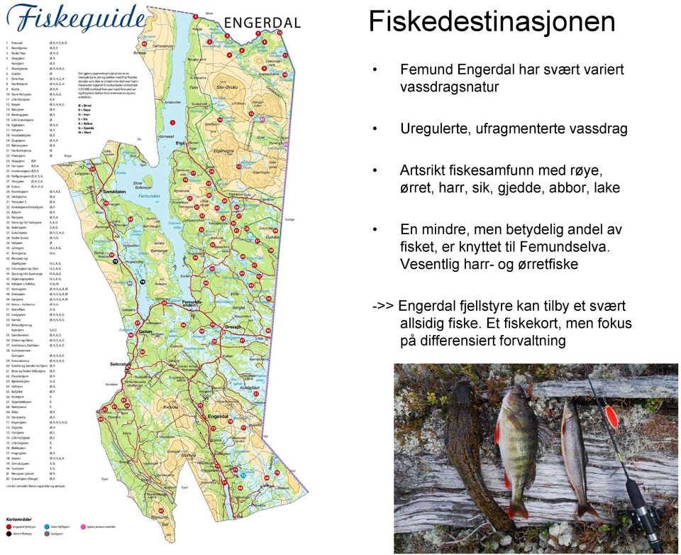 betydelig andel av fisket, er knyttet til Femundselva.