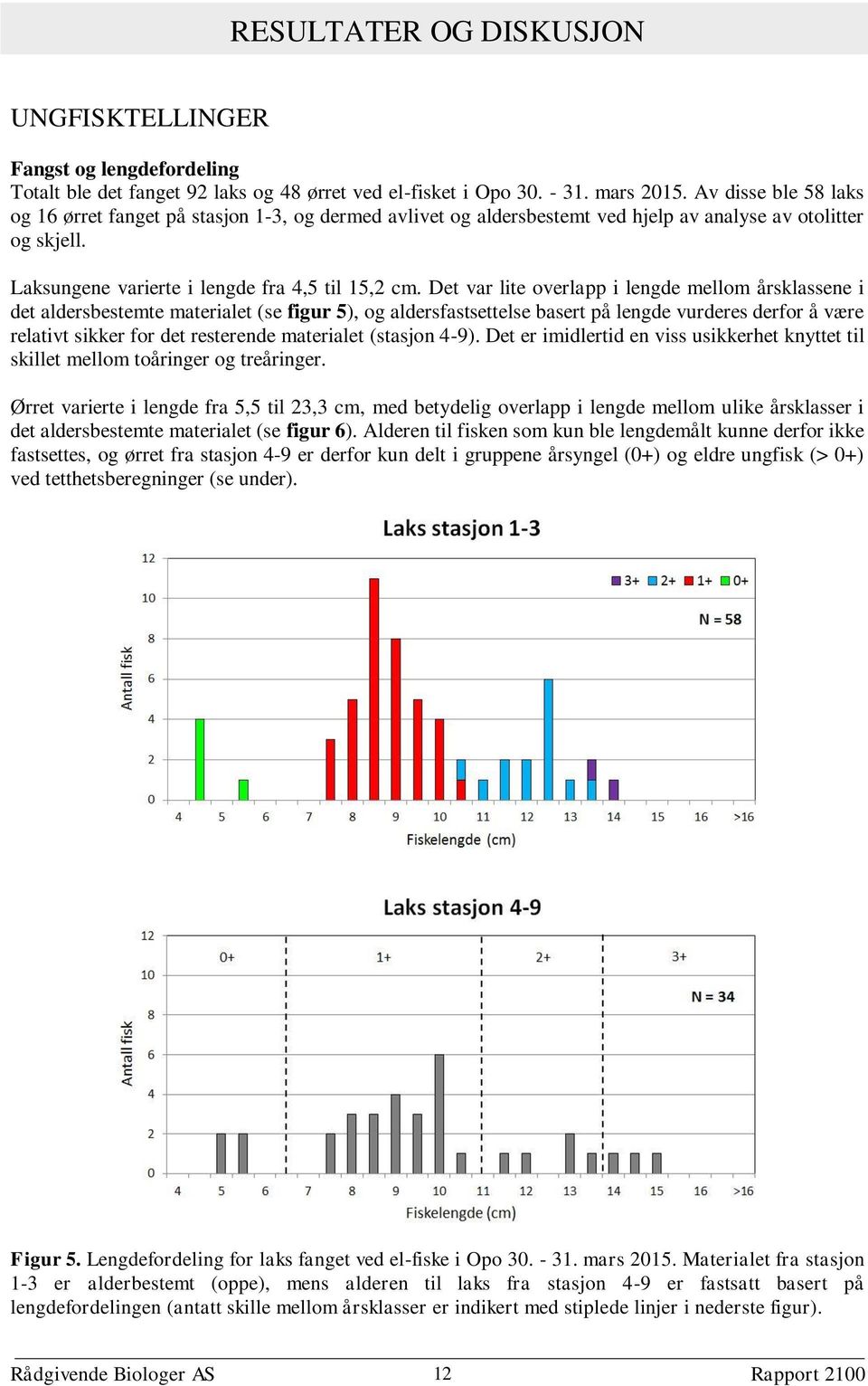 Det var lite overlapp i lengde mellom årsklassene i det aldersbestemte materialet (se figur 5), og aldersfastsettelse basert på lengde vurderes derfor å være relativt sikker for det resterende