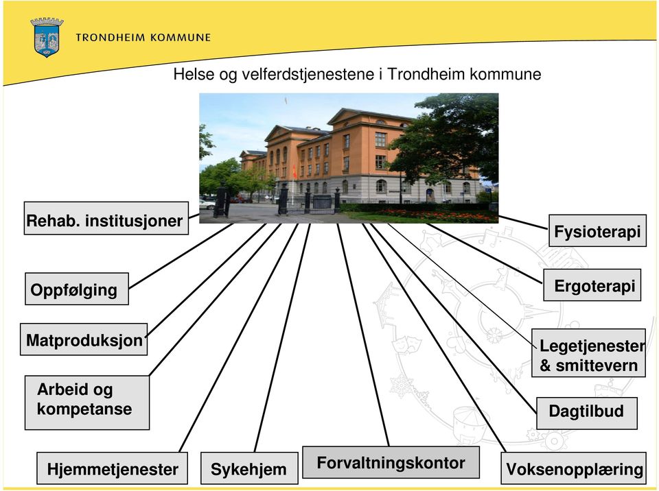 institusjoner Fysioterapi Oppfølging Ergoterapi Matproduksjon Arbeid og