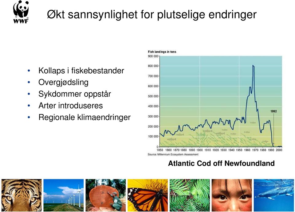 Sykdommer oppstår Arter introduseres