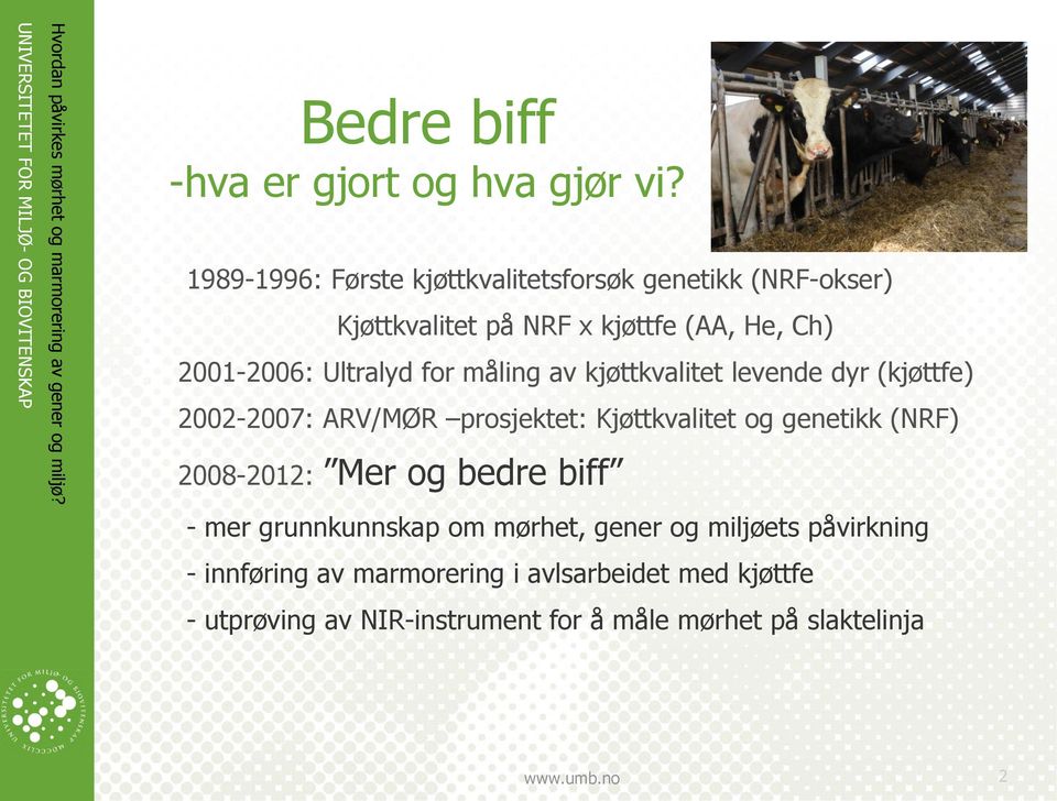 Ultralyd for måling av kjøttkvalitet levende dyr (kjøttfe) 2002-2007: ARV/MØR prosjektet: Kjøttkvalitet og genetikk (NRF)