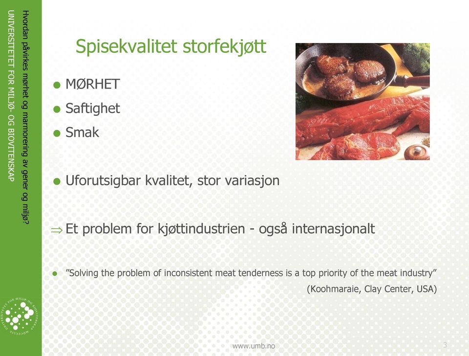 internasjonalt Solving the problem of inconsistent meat