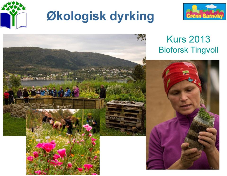 Kurs 2013