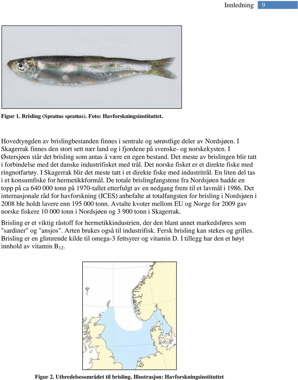 Det meste av brislingen blir tatt i forbindelse med det danske industrifisket med trål. Det norske fisket er et direkte fiske med ringnotfartøy.