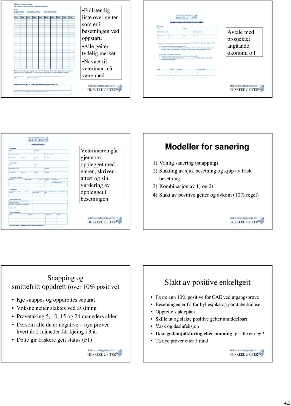 besetningen Modeller for sanering 1) Vanlig sanering (snapping) 2) Slakting av sjuk besetning og kjøp av frisk besetning 3) Kombinasjon av 1) og 2) 4) Slakt av positive geiter og avkom (10% regel)