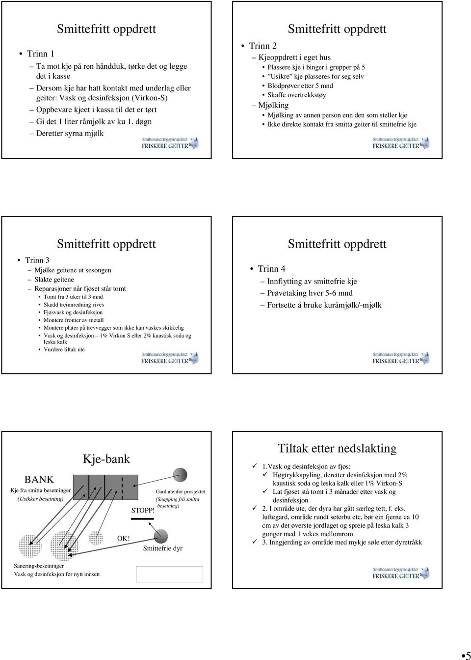 døgn Deretter syrna mjølk Smittefritt oppdrett Trinn 2 Kjeoppdrett i eget hus Plassere kje i binger i grupper på 5 Usikre kje plasseres for seg selv Blodprøver etter 5 mnd Skaffe overtrekkstøy