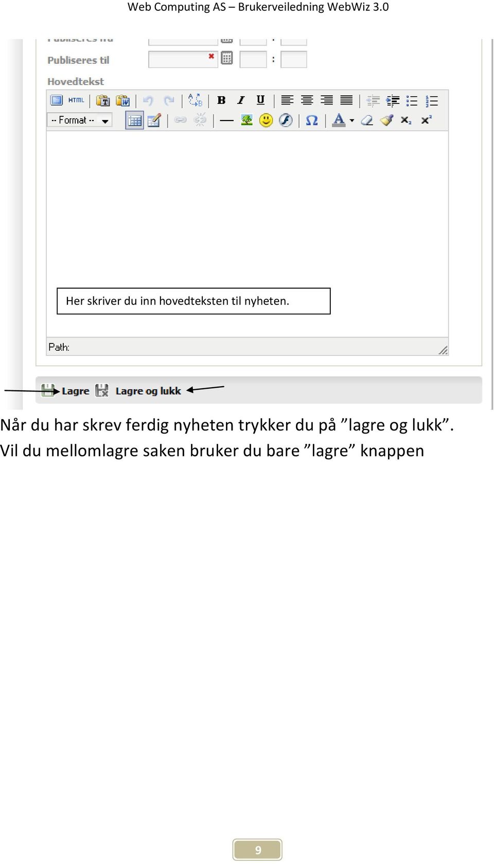 Når du har skrev ferdig nyheten trykker