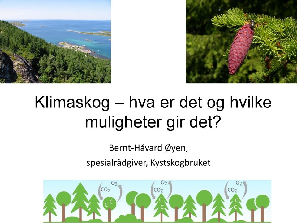 Bernt-Håvard Øyen,