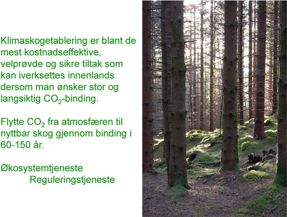 og langsiktig CO 2 -binding.