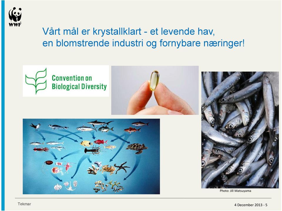 industri og fornybare næringer!