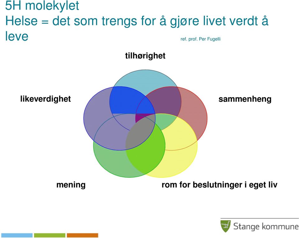 Per Fugelli tilhørighet likeverdighet