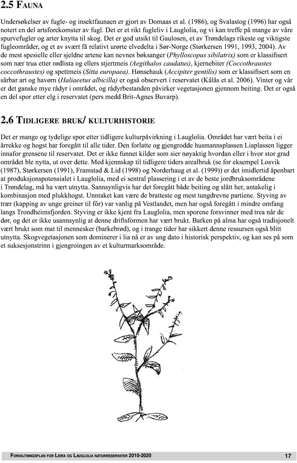 Dt r god utsikt til Gaulosn, t av Trøndlags rikst og viktigst fuglområdr, og t av svært få rlativt urørt lvdlta i Sør-Norg (Størkrsn 1991, 1993, 2004).