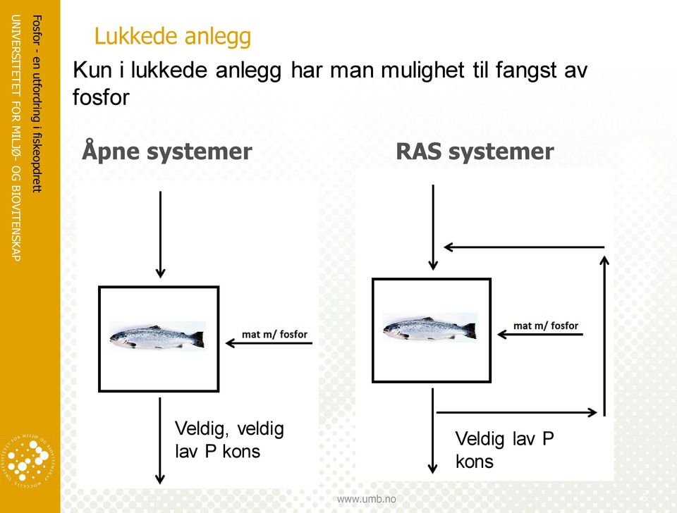 fosfor Åpne systemer RAS systemer