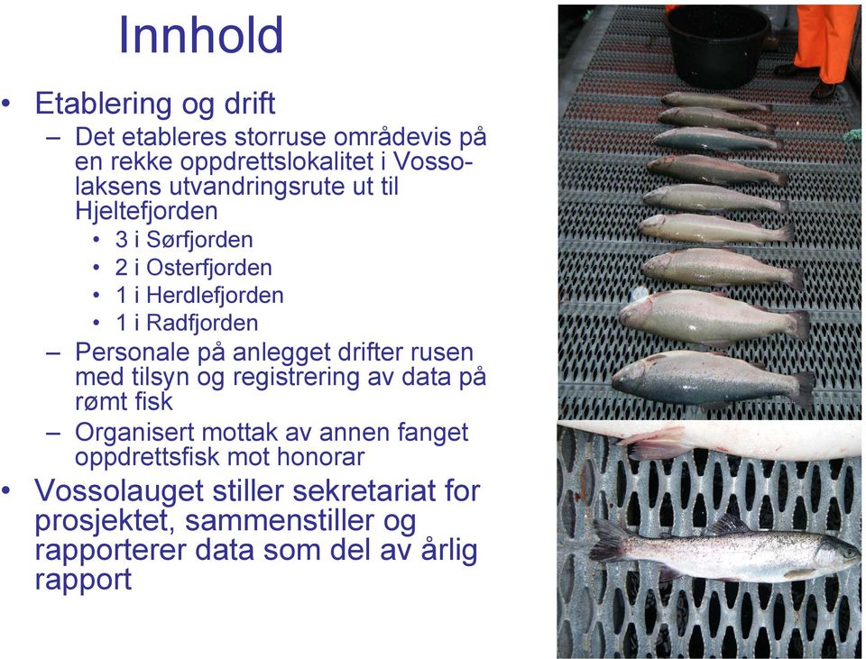 anlegget drifter rusen med tilsyn og registrering av data på rømt fisk Organisert mottak av annen fanget