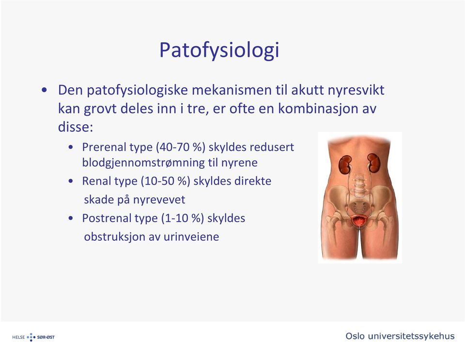 skyldes redusert blodgjennomstrømning til nyrene Renal type (10 50 %) skyldes