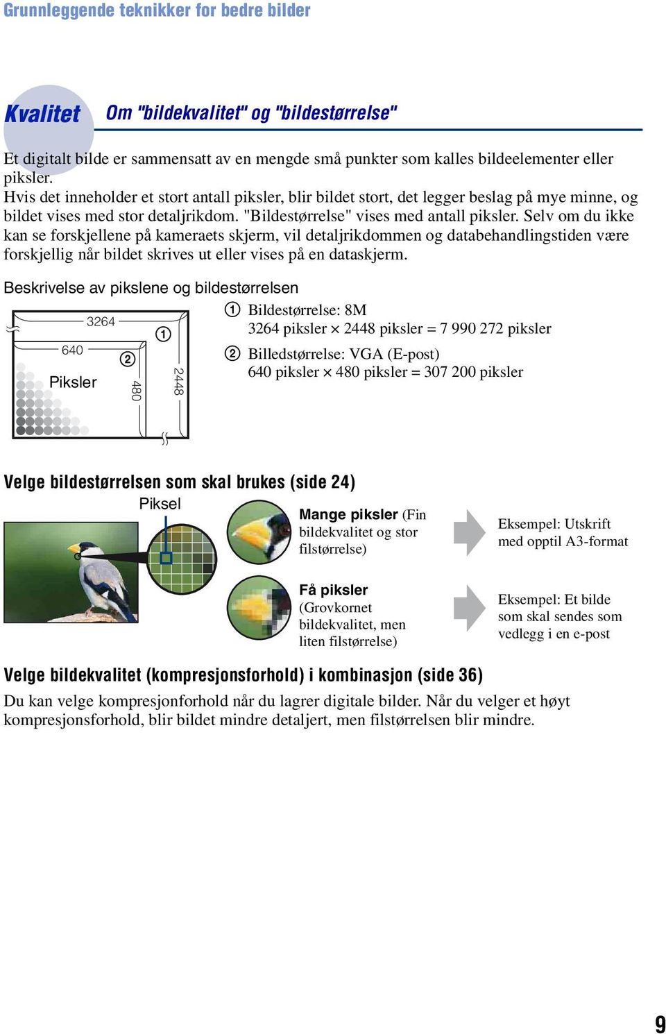 Selv om du ikke kan se forskjellene på kameraets skjerm, vil detaljrikdommen og databehandlingstiden være forskjellig når bildet skrives ut eller vises på en dataskjerm.