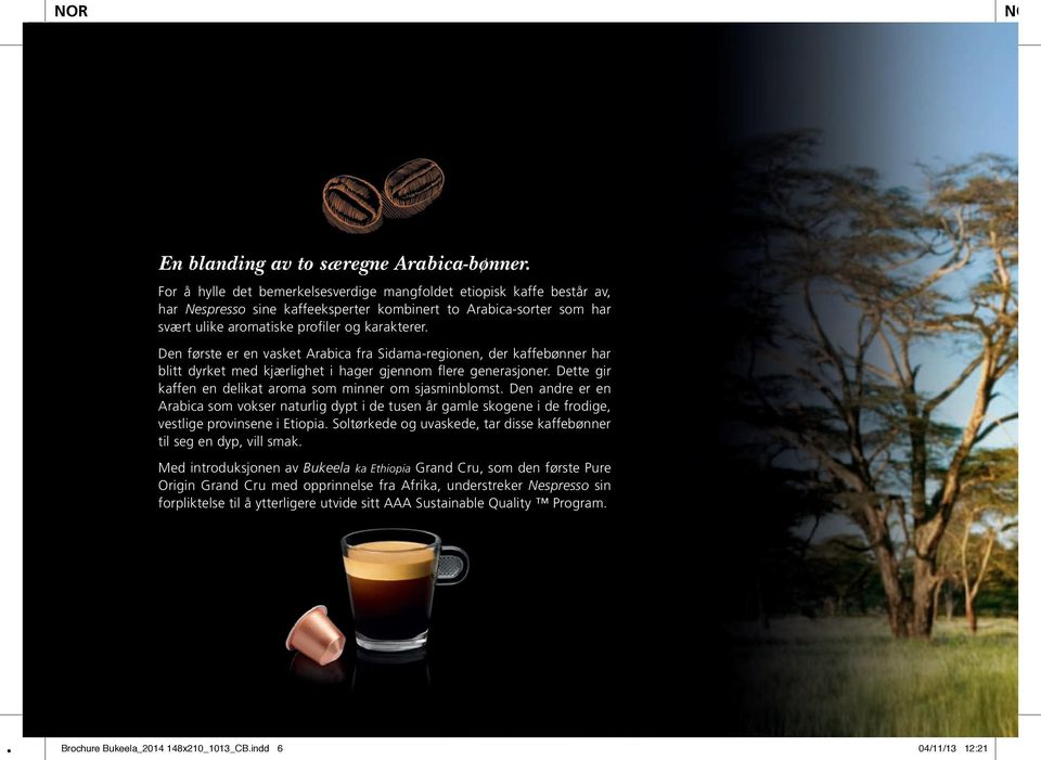 Den første er en vasket Arabica fra Sidama-regionen, der kaffebønner har blitt dyrket med kjærlighet i hager gjennom flere generasjoner. Dette gir kaffen en delikat aroma som minner om sjasminblomst.