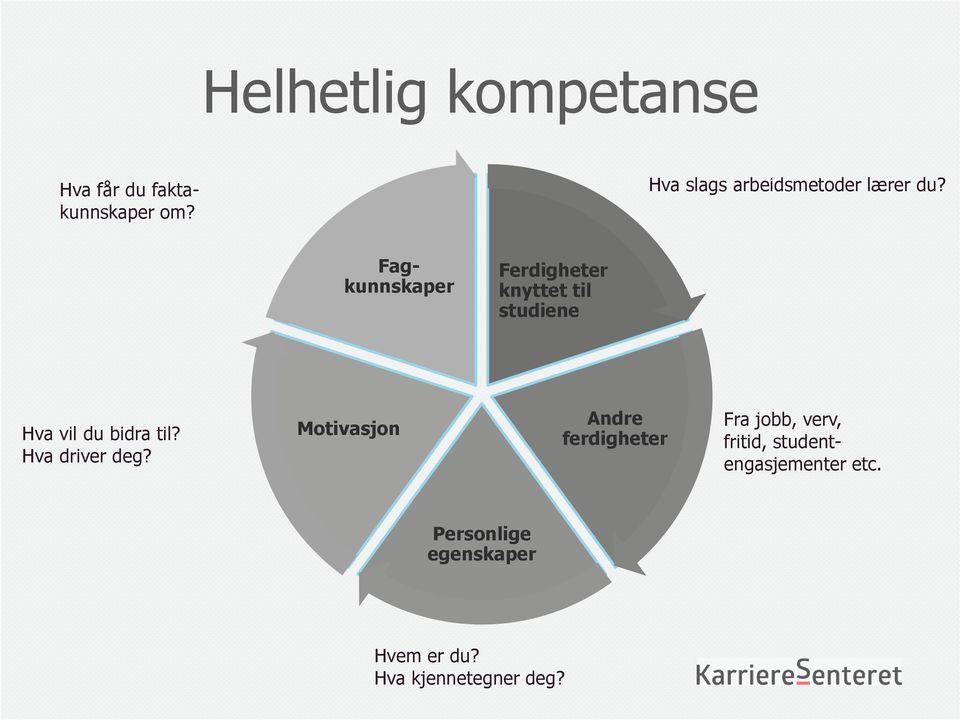 Fag kunnskaper Ferdigheter knyttet til studiene Hva vil du bidra til?