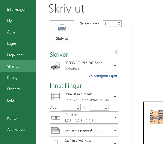 Utskrift av regnearket Matematikk for ungdomstrinnet Du kan skrive ut regnearket fra Excel.