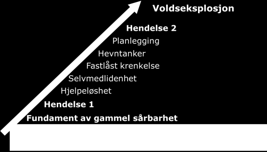 Vold som sårbarhetsfaktor Vold avler vold Andel menn (N=192) ved ATV som rapporterte ulike traumer fra foreldre og søsken: Følelsesmessig forsømmelse 49,2 % Følelsesmessige overgrep 48,4 % Fysisk