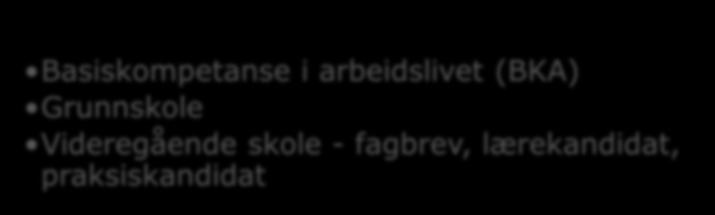 Arbeidsrettet løp og livslang læring Introduksjonsprogrammet Norsk og samfunnskunnskap Grunnleggende ferdigheter i arbeidslivet (muntlig og skriftlig norsk, matematikk, IKT) Yrkesrettet kurs og