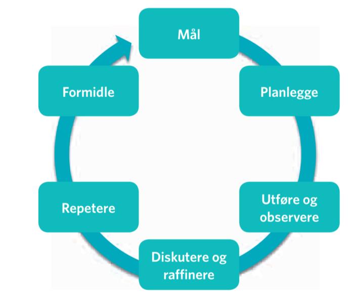 Mulige veier videre Lesson Study eller andre former for strukturert samarbeidslæring Utvikling, diskusjon,