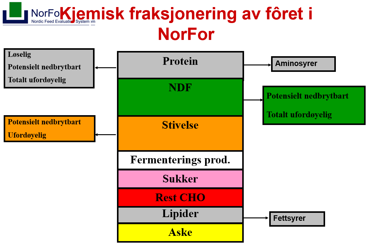 Grovfôr til melkeku Norges miljø-
