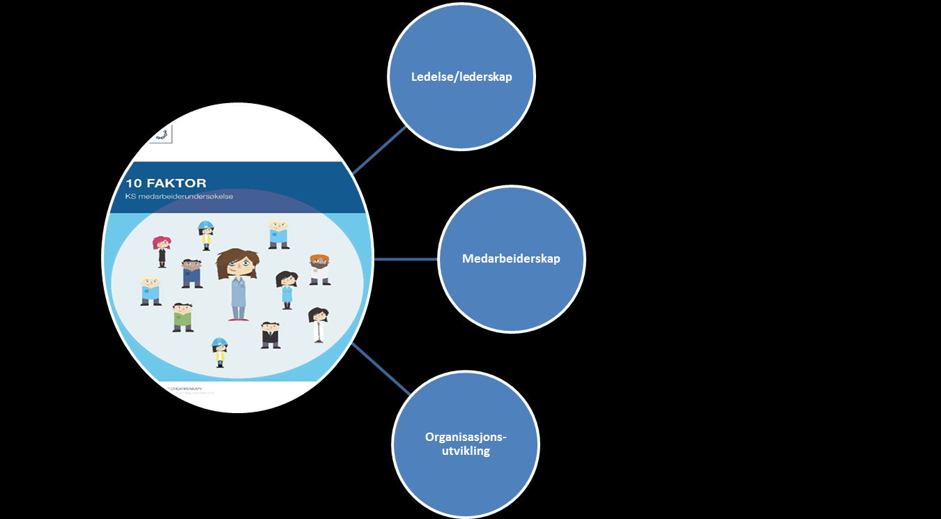 3.0 Modell for medarbeiderundersøkelse 10 FAKTOR er en medarbeiderundersøkelse for kommunal sektor, utviklet av kommuneforlaget og KS i samarbeid med pilotkommuner (deriblant Skien) og professor