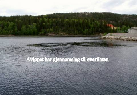 MODELLERING OG SPREDNING AV AVLØPET Innlagringsdyp og fortynning av avløpet til Marine Harvest Norway AS avd.