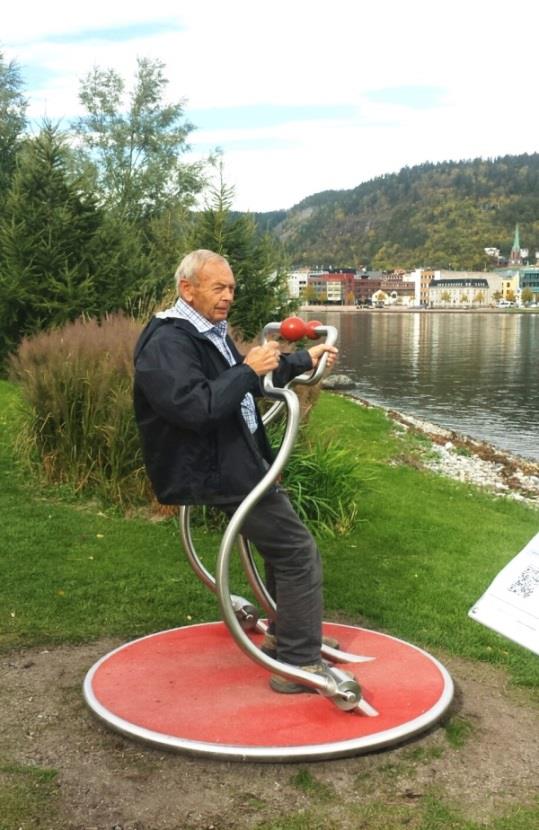 For mer informasjon om- og lenker til kunnskap om folkehelse og folkehelsearbeid: Fylkesmannen i Buskerud sin hjemmeside om: - Folkehelse Fylkesmannen