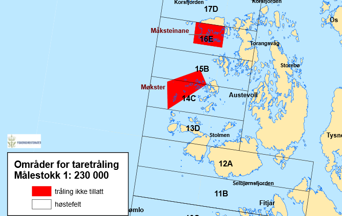 Side 3/5 Fylkesrådmannen, 01.06.2016 Saksutgreiing Tare Stortare (Laminaria hyperborea) er den største makroalgen i norske farvatn, og Noreg har den største bestanden i Europa av denne arten.