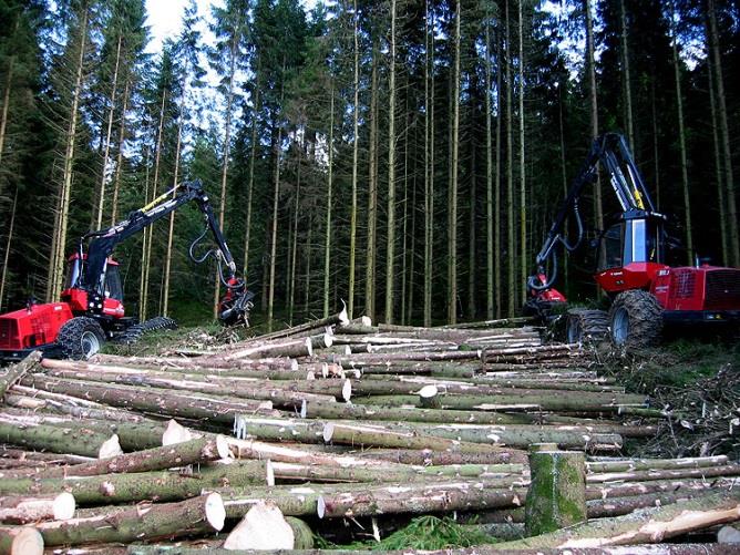 Tømmeromsetnad 2013 vart eit godt år for skogbruket i Hordaland. Skogfondsrekneskapen viste at det vart avverka 190 221 kubikkmeter gran, furu og lauv. Dette er ca. 20 % auke i høve 2012.