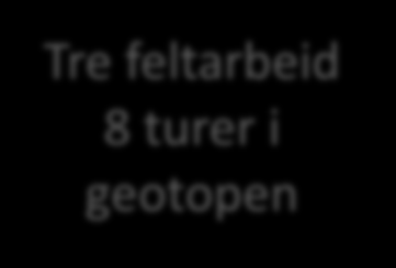 i klasseroomet (1,3 t) Feltaktiviteter (0,7t) Tre Etterarbeid feltarbeid i Etterarbeid i klasserommet klasserommet (1,3t) (0,6t) 8 turer i geotopen Felt: