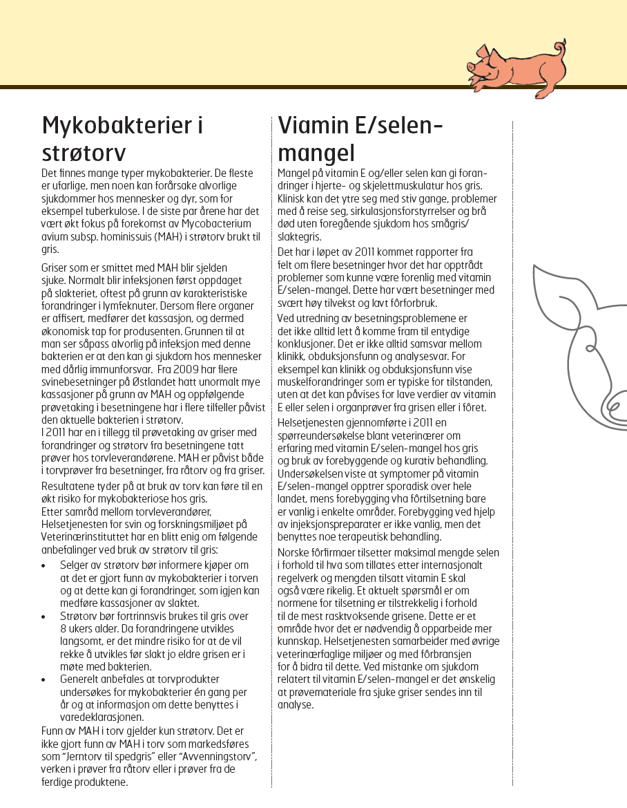 Helsetjenesten for svin årsrapport