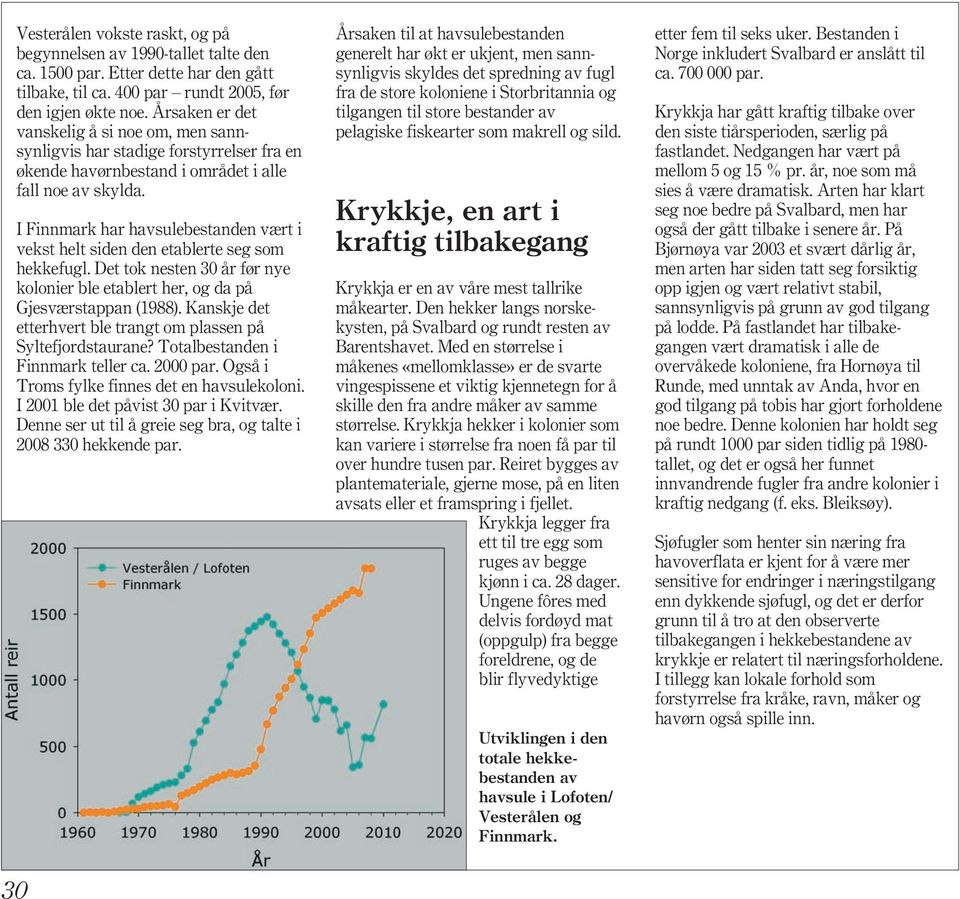 I Finnmark har havsulebestanden vært i vekst helt siden den etablerte seg som hekkefugl. Det tok nesten 30 år før nye kolonier ble etablert her, og da på Gjesværstappan (1988).