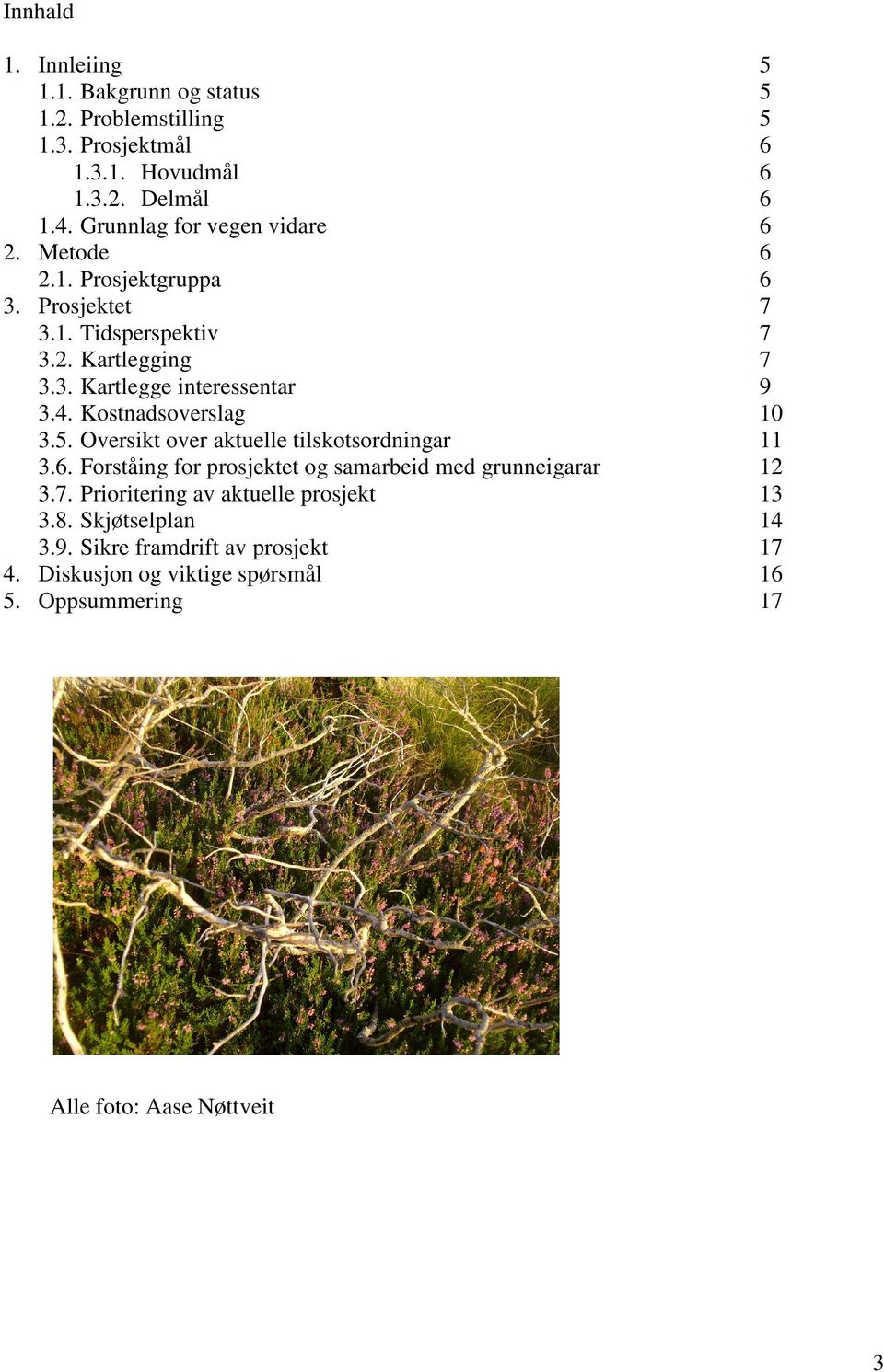 4. Kostnadsoverslag 10 3.5. Oversikt over aktuelle tilskotsordningar 11 3.6. Forståing for prosjektet og samarbeid med grunneigarar 12 3.7.