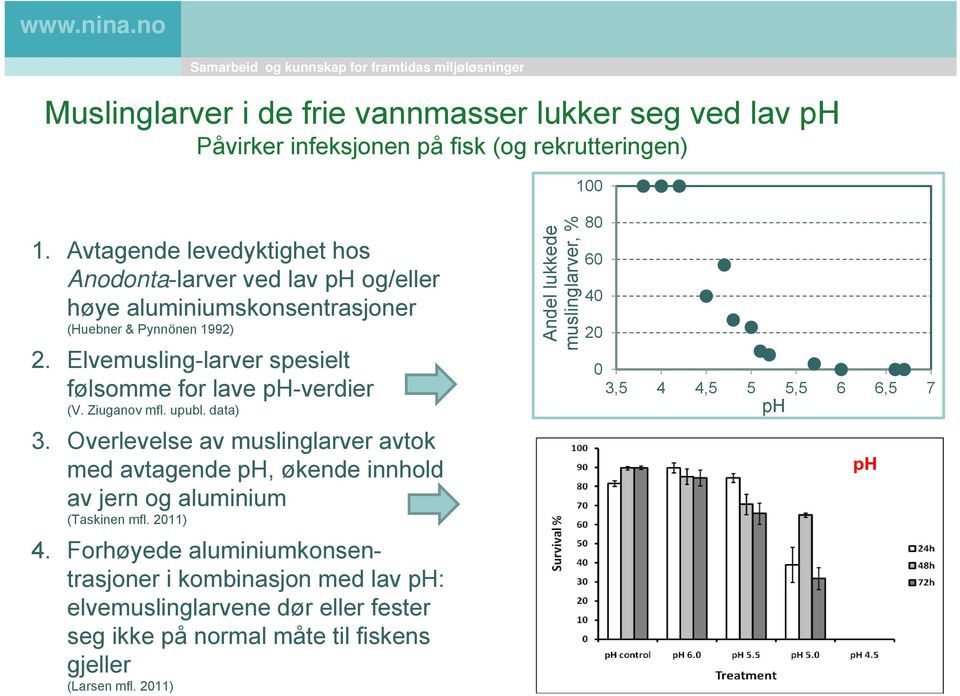 Elvemusling-larver spesielt følsomme for lave ph-verdier (V. Ziuganov mfl. upubl. data) 3.