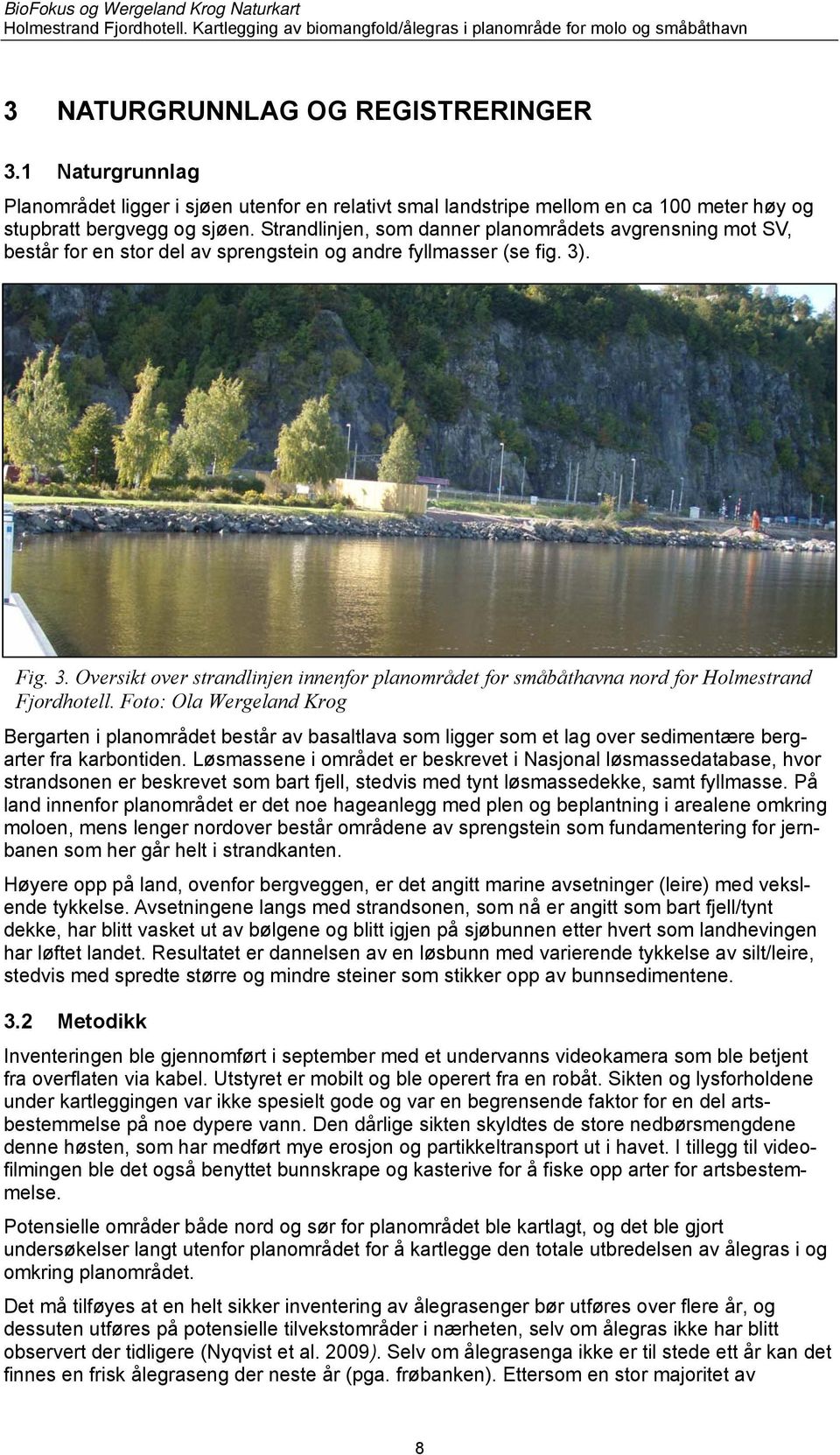 . Fig. 3. Oversikt over strandlinjen innenfor planområdet for småbåthavna nord for Holmestrand Fjordhotell.